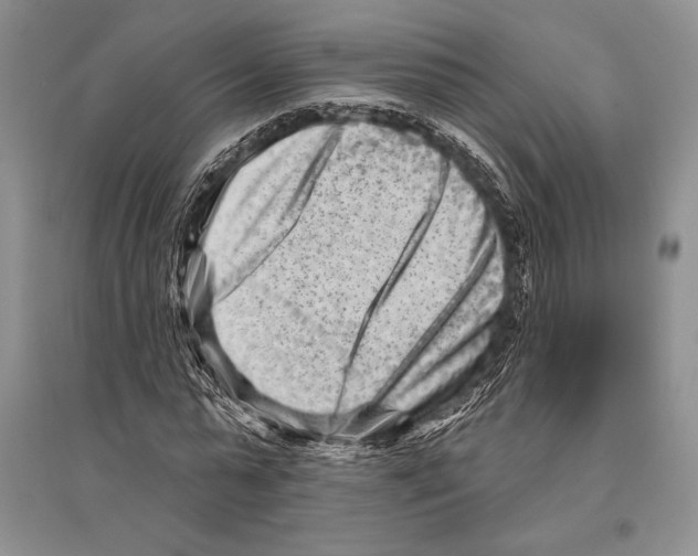 X0000096190775200802151502