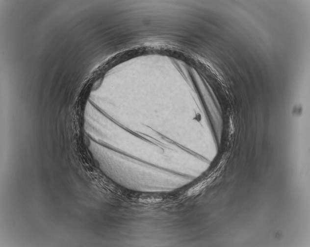 X0000096190776200802151502