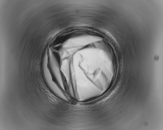 X0000096190777200802151502