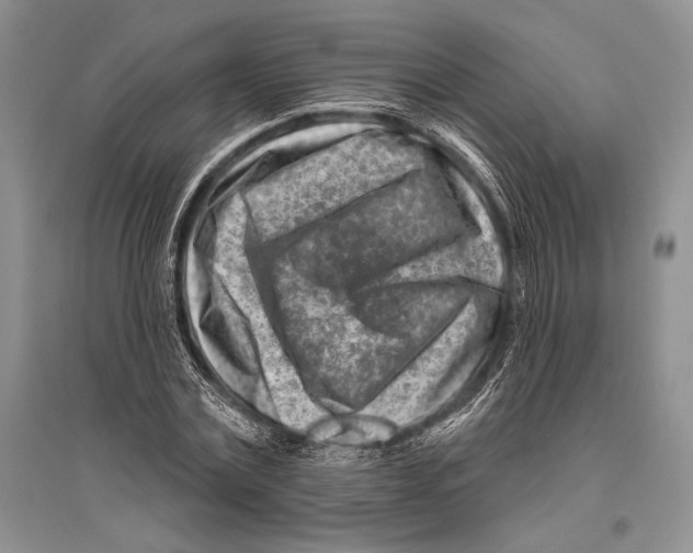 X0000096190779200802151502