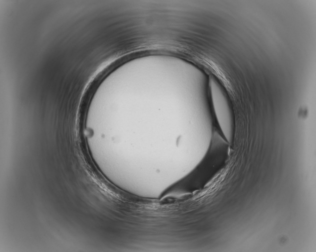 X0000096190780200802151502