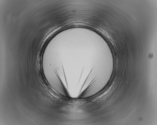 X0000096190782200802151502