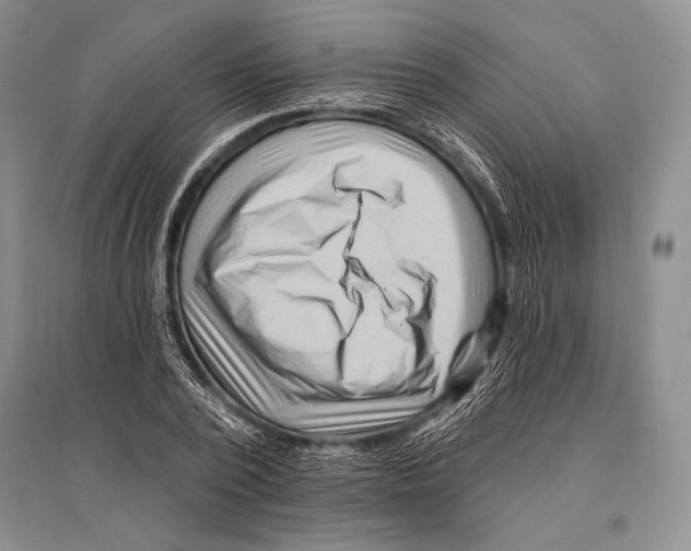 X0000096190784200802151502