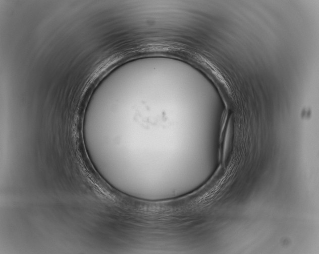 X0000096190786200802151502