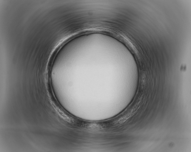 X0000096190787200802151502