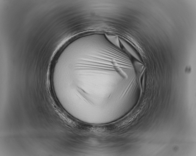 X0000096190788200802151502