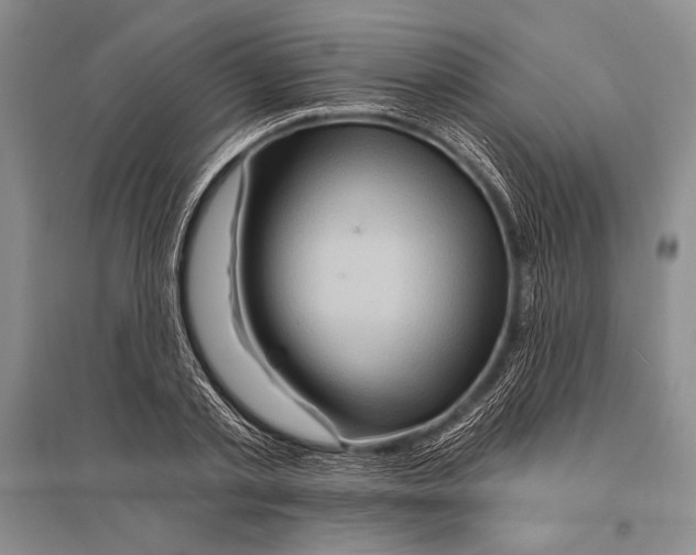 X0000096190789200802151502