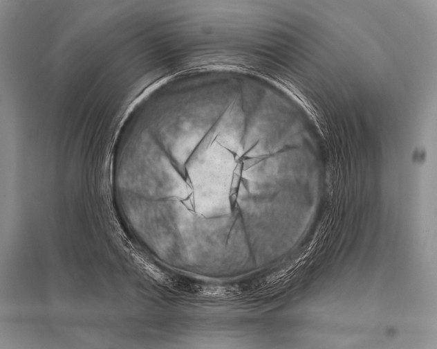 X0000096190790200802151502