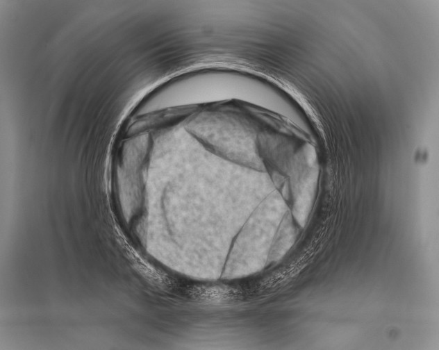 X0000096190791200802151502