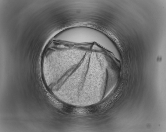 X0000096190792200802151502