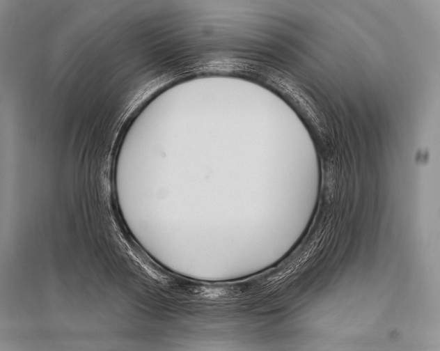 X0000096190794200802151502