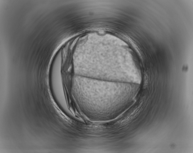 X0000096190795200802151502