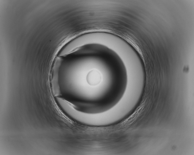 X0000096190797200802151502