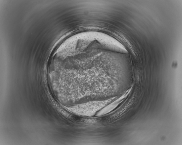 X0000096190798200802151502