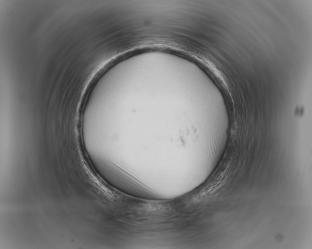 X0000096190799200802151502