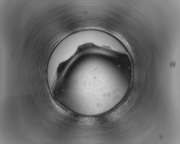 X0000096190801200802151502