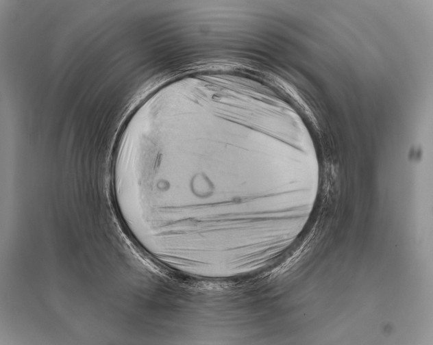 X0000096190802200802151502