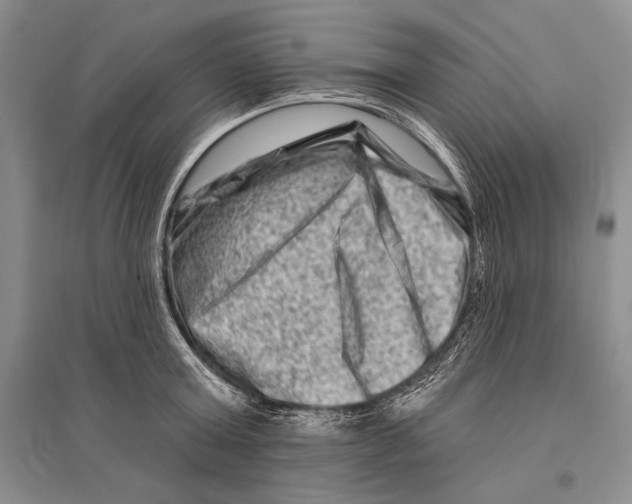 X0000096190803200802151502