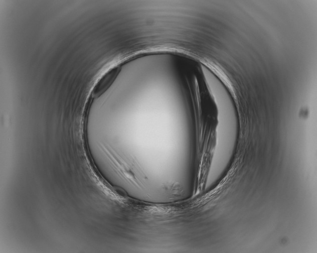 X0000096190805200802151502