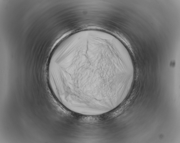 X0000096190806200802151502