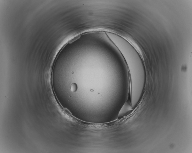 X0000096190813200802151502