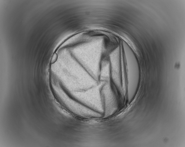 X0000096190814200802151502