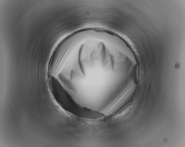 X0000096190815200802151502