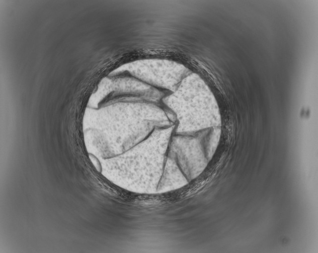 X0000096190817200802151501