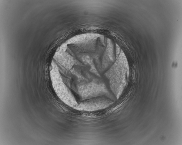 X0000096190818200802151501