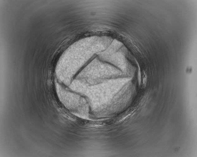 X0000096190819200802151501