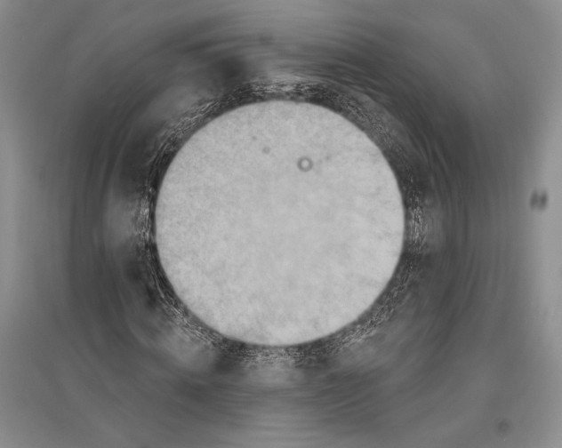 X0000096190820200802151501