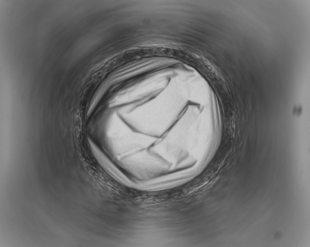 X0000096190821200802151501