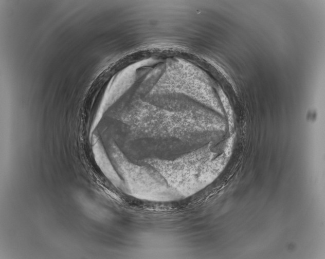 X0000096190823200802151501