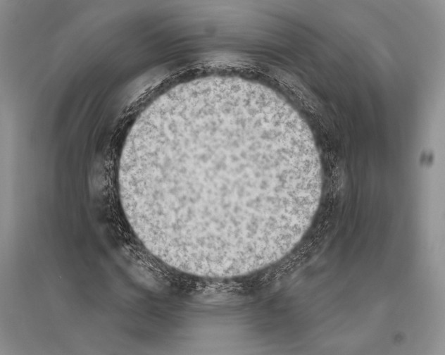 X0000096190824200802151501