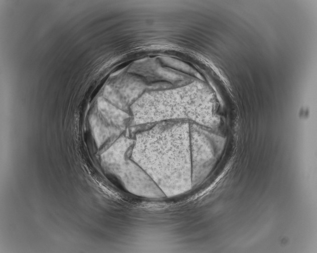 X0000096190825200802151501