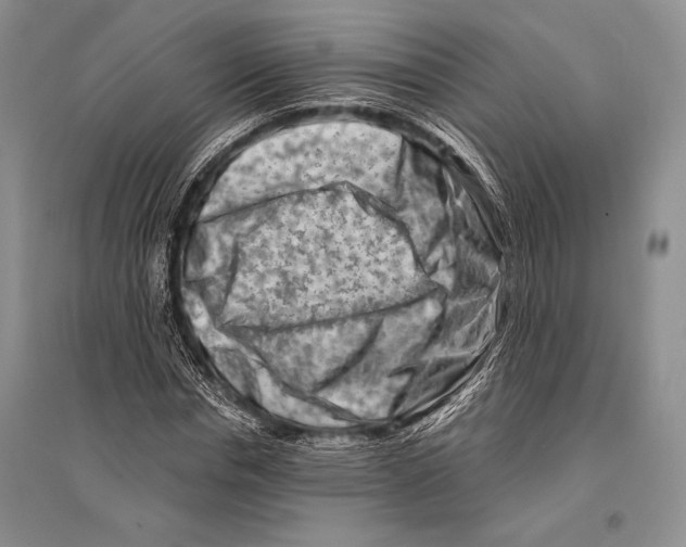 X0000096190826200802151501