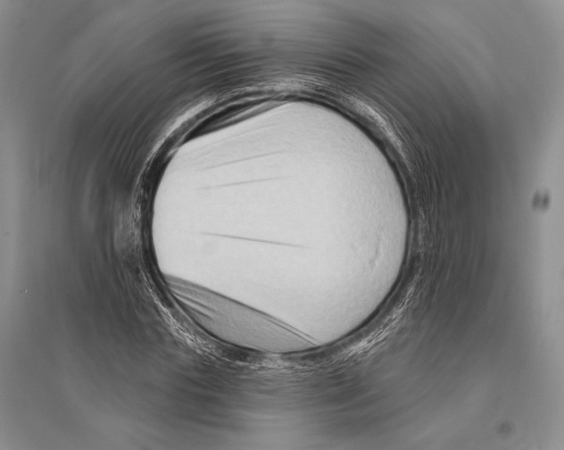 X0000096190827200802151501