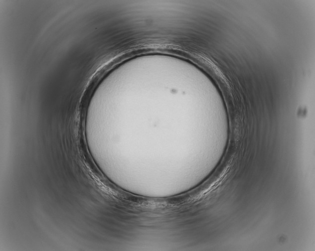 X0000096190831200802151501