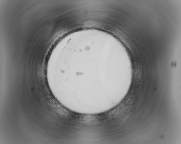 X0000096190832200802151501