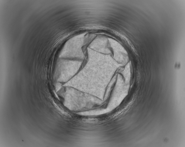 X0000096190833200802151501