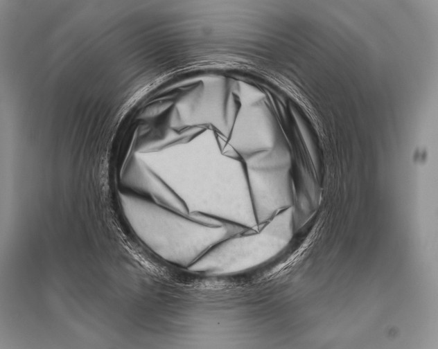 X0000096190834200802151501