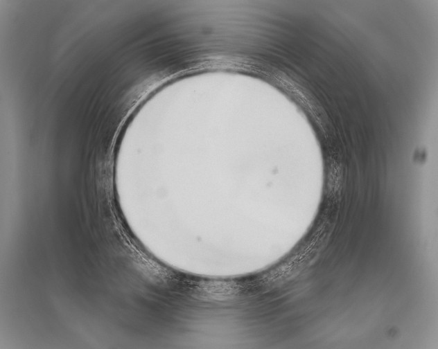 X0000096190836200802151501