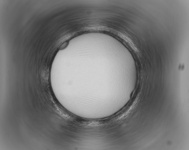 X0000096190841200802151501