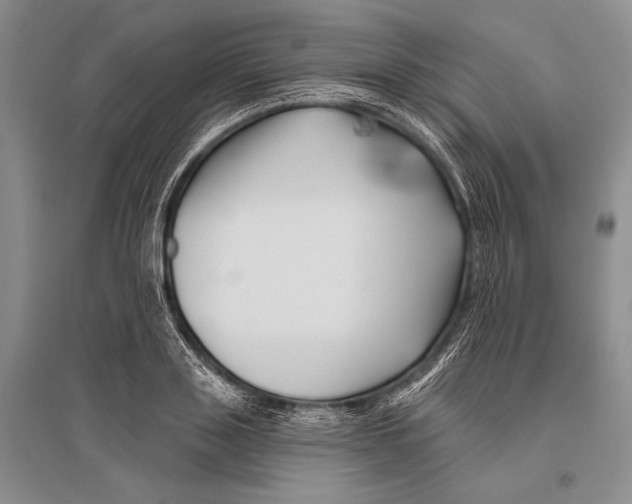 X0000096190843200802151501