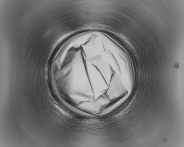 X0000096190846200802151501