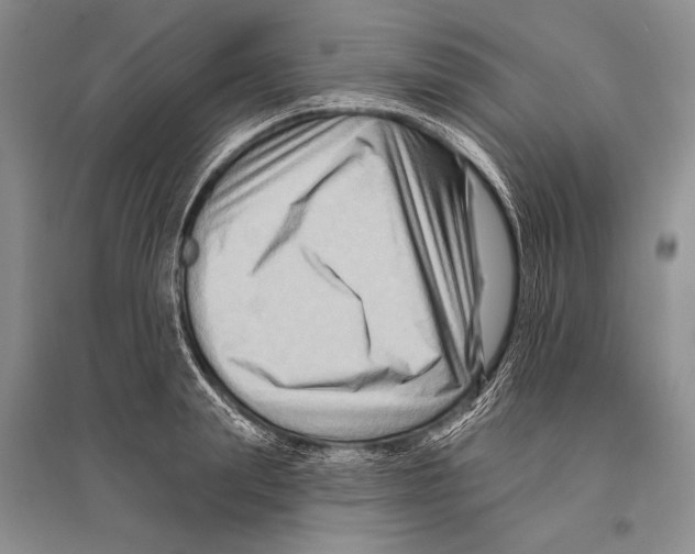 X0000096190847200802151501