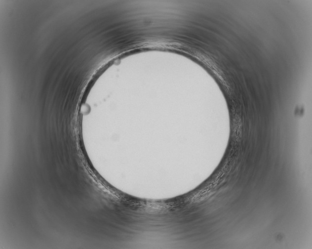 X0000096190848200802151501