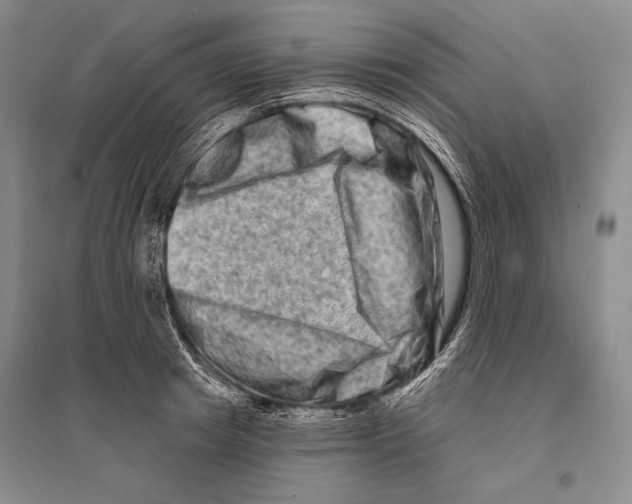 X0000096190849200802151501