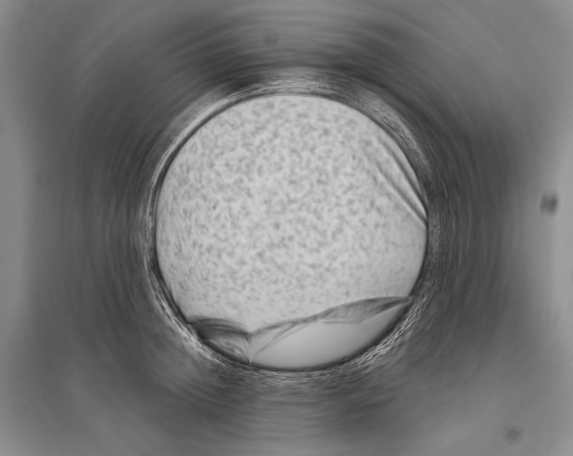 X0000096190852200802151501