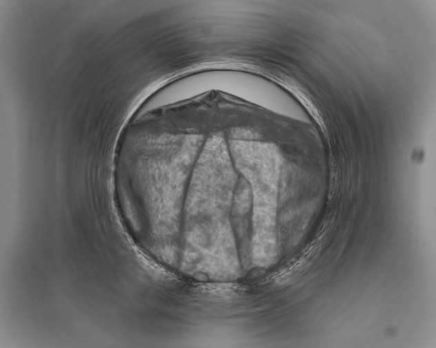 X0000096190853200802151501